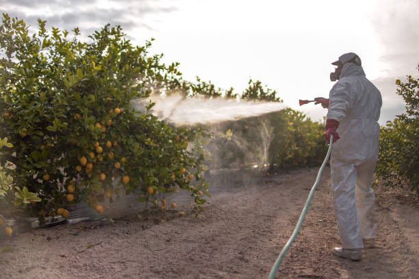 Best Flea Control Services  in Horn Lake, MS