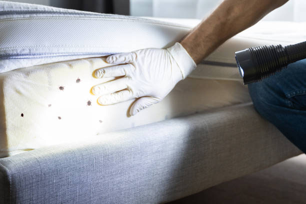 Best Pest Removal Services  in Horn Lake, MS