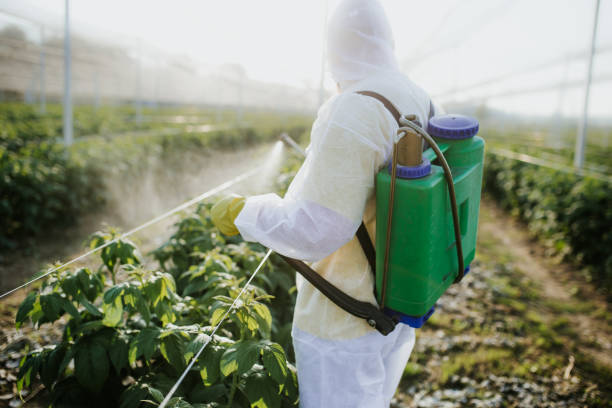 Best Local Pest Control Services  in Horn Lake, MS